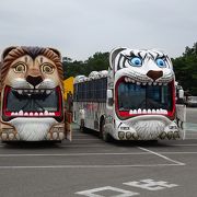 ゾウも近くで見られました