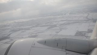 こじんまりしています