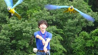 随分動物園っぽくなっていました！