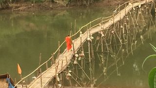 乾期だけ渡れる竹の橋