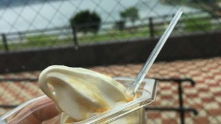 いろいろと揃っている