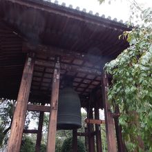 こうしてみると小さいようにも見え。