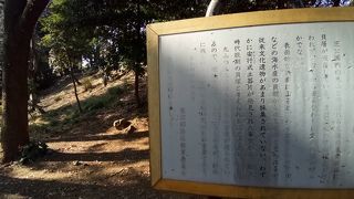 きゅうにこんもりと結構高い丘陵地の丸山貝塚があり、驚き