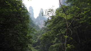 美しい静かな渓谷と柱状の奇岩が見える
