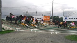 全体にのんびりした雰囲気