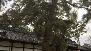 春日神社