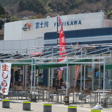 生しらす丼がありました