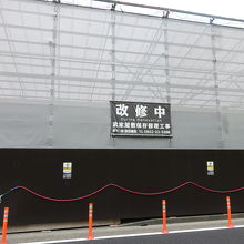 覆われていて全然見えない