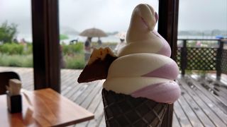 晴れていれば富士山が見えるはずのカフェでひと休み。