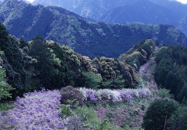 みやまの里森林公園 クチコミ アクセス 営業時間 御坊 印南 日高川 フォートラベル