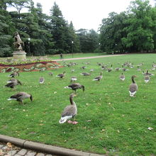 テットドール公園