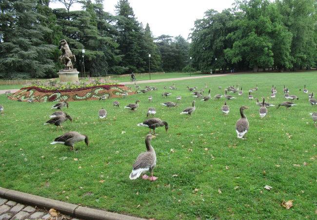 テットドール公園