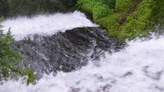 上から見える滝