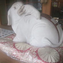 見返りの白象さまの様子