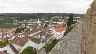 町の様子が良くわかる
