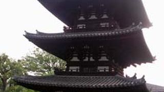 猿沢の池越しに見えます