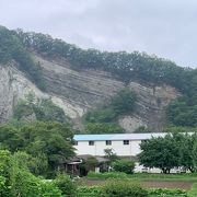 おがの化石館の近くにある白い岩肌の崖です。地層学的に重要な場所です。