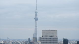 Capo PELLICANO 本郷店