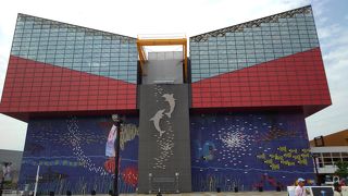 テレビ的展示は限界