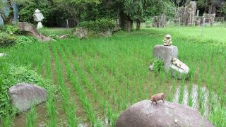 ほのぼのとした神社！