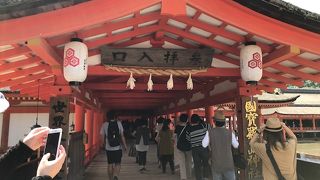 大鳥居は改修中ですが…