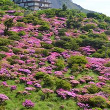 山麓駅と平成新山