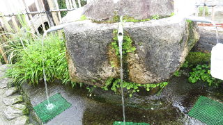 水が汲めて、新鮮野菜も充実の道の駅