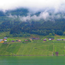 所々に見られる集落と畑