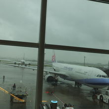 羽田→台北松山：羽田空港にて