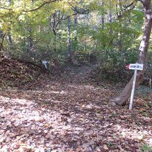 案内標識がありました。