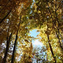 気持ちのいい散歩道。
