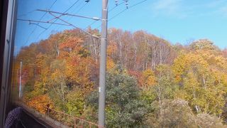 過密のため、最近スピードダウン。でも眺めの良さはなかなか。