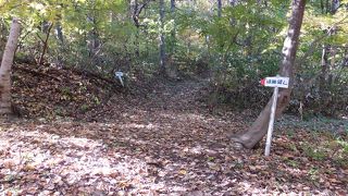 案内標識が少し整備されていました。