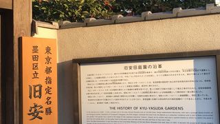 江戸東京博物館の近くの庭園です