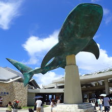 エントランスからジンベイザメが迎えてくれる