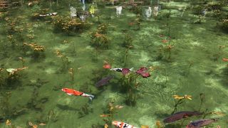 ひっそり山の中にある名所。