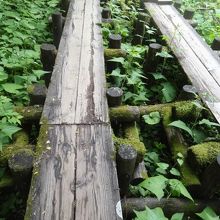 様々なアップダウンを楽しめます。