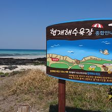 ビーチの案内図