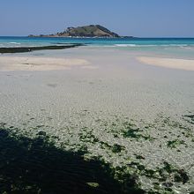 きれいなビーチ