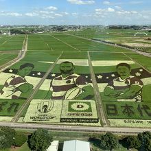 2019年 田んぼアート