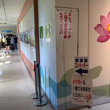 展望台へのエレベーター