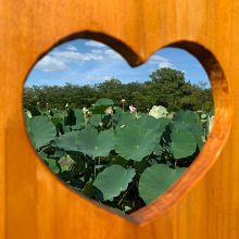 ハートマーク写真スポット