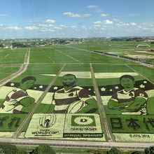 ラグビーワールドカップ日本代表選手アート