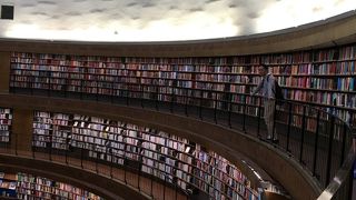 素晴らしい円形