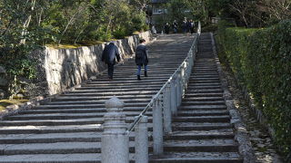 おしとやかなルート