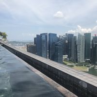 プールからの眺め