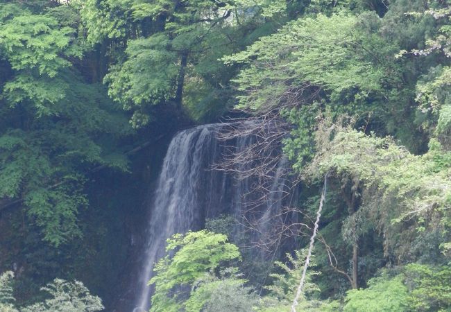 楓葉の滝