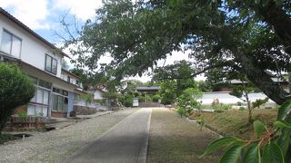 山門は一々、仰々しいです。