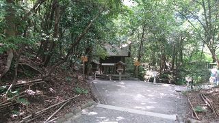 ここもパワースポット