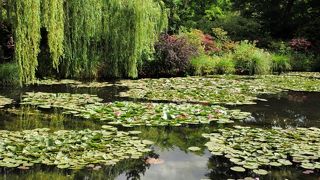 モネの名作「睡蓮」の舞台